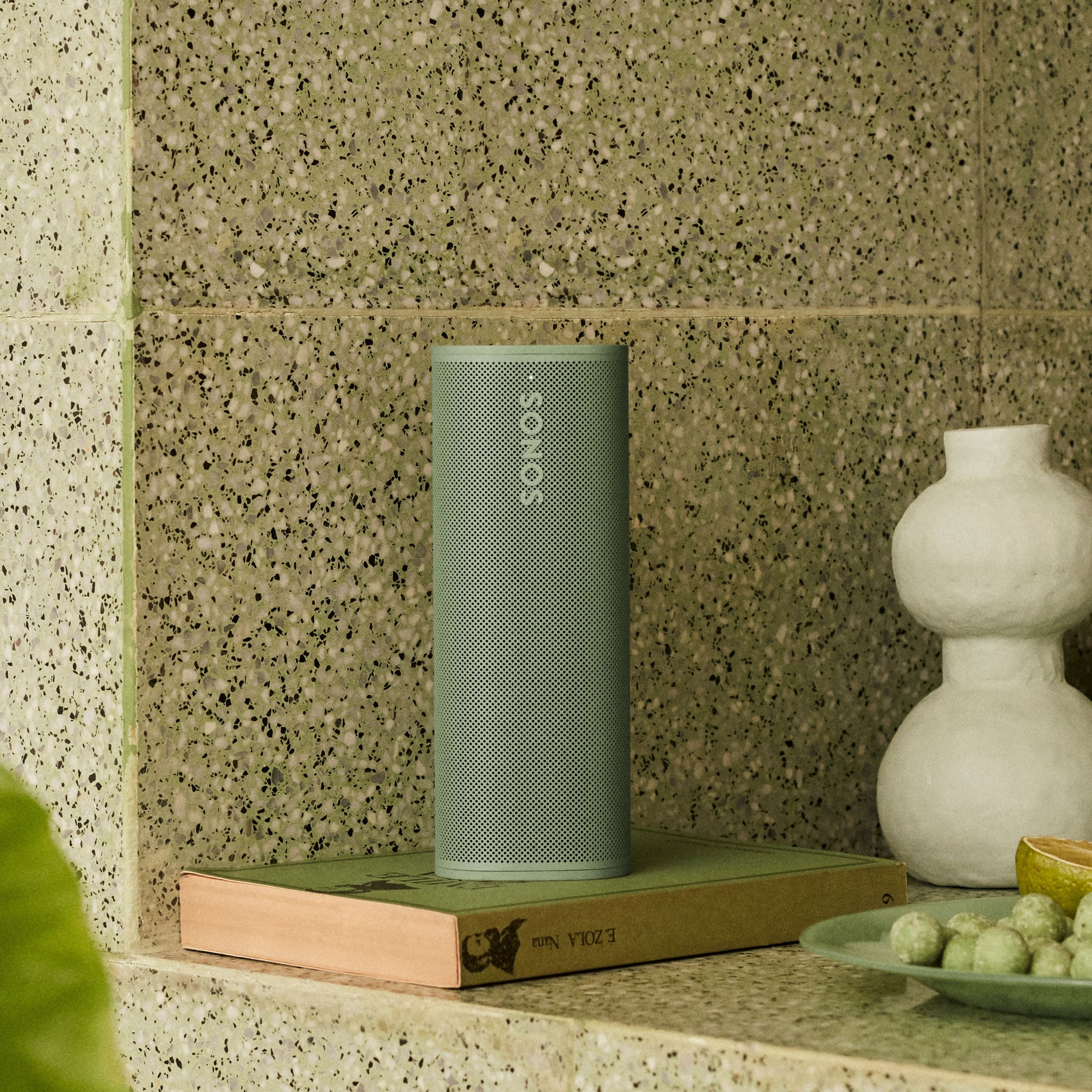 sonos, Roam 2