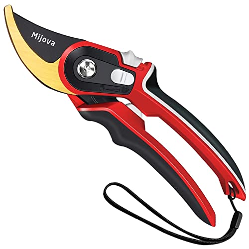 Garden Shears, Secateurs for Gardening Heavy Duty With High Carbon Steel Blades, Best Garden Pruner Scissors, Professional Gardening Hand Tools, Pruning Shears for Plants, Hedges and Flowers : Amazon.co.uk: Garden