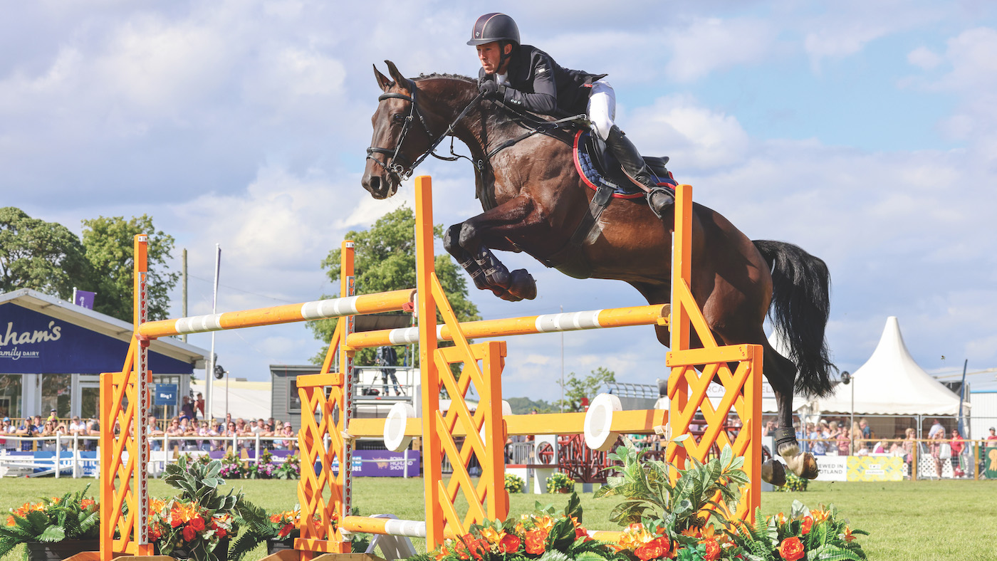 Flying Tinker, ridden by Mark Edwards