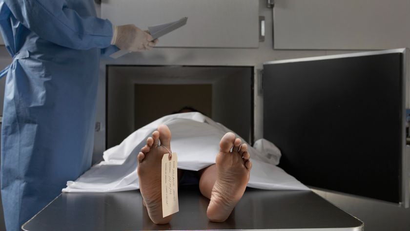 A person wearing blue long-sleeve scrubs and white gloves holds a piece of paper standing over a metal table with a body covered in a white sheet with only its feet sticking out on top. The bare feet face the camera and have a label attached to the right foot's big toe
