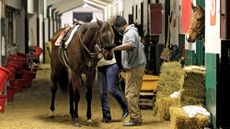 A backstretch employee tends to a thoroughbred for Kevin Attard Racing before sunrise at Woodbine Racetrack in Toronto, Canada, on March 15, 2025