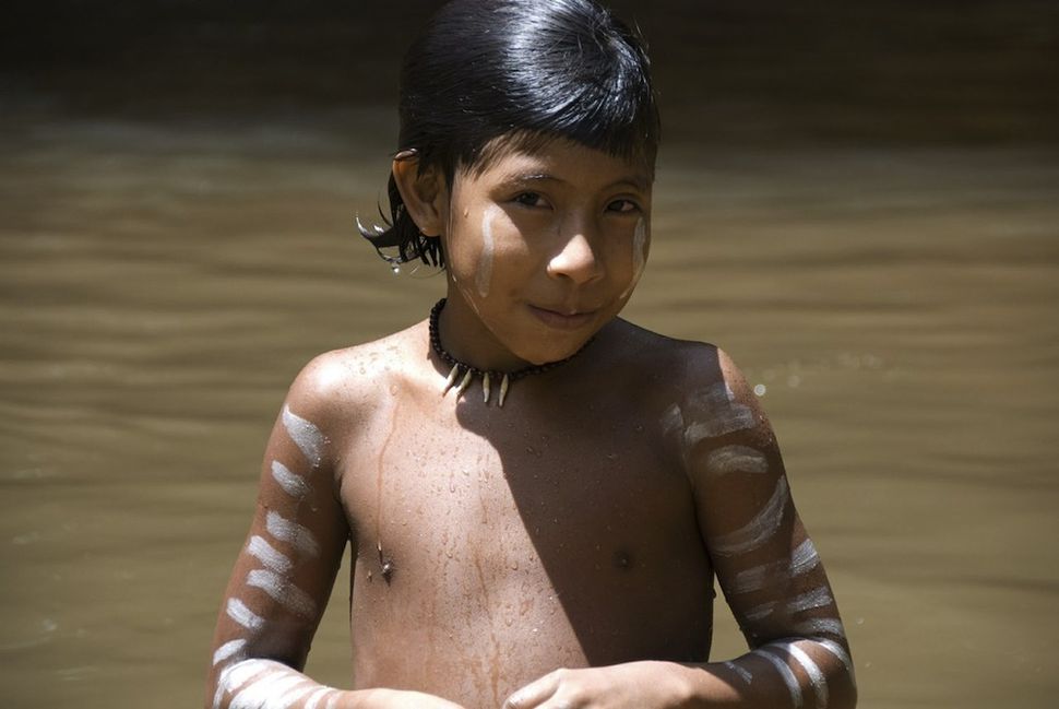 awa tribe in acre brazil