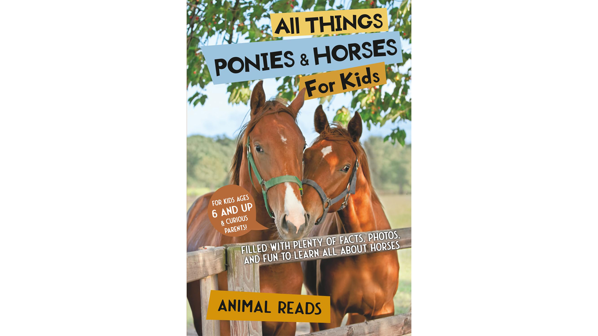 All Things Ponies &amp;amp; Horses For Kids book