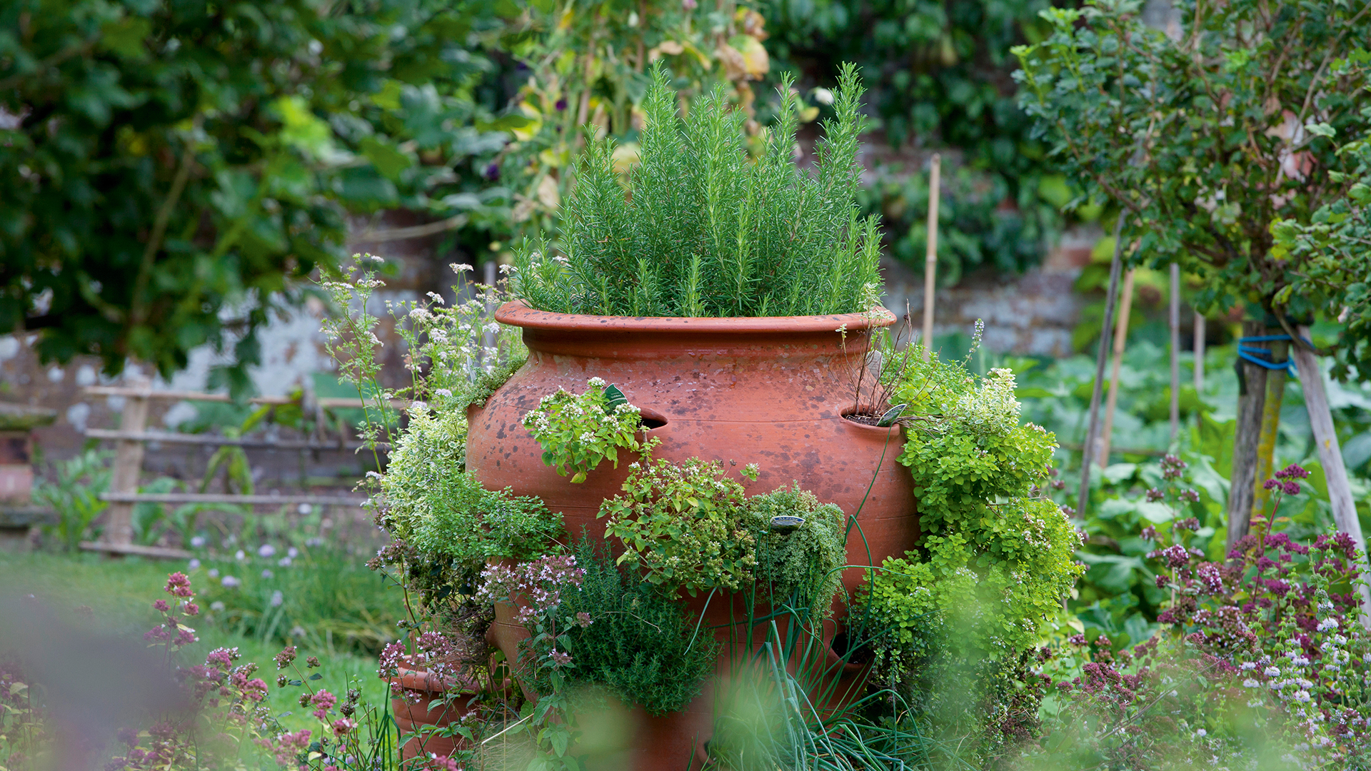 Herb planter ideas – ways to grow in containers and pots