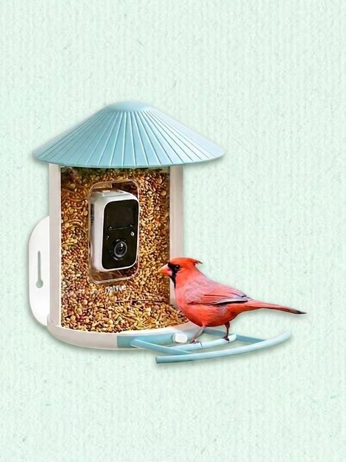 Smart Bird Feeder With AI Camera