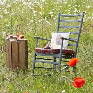 meadow garden planting