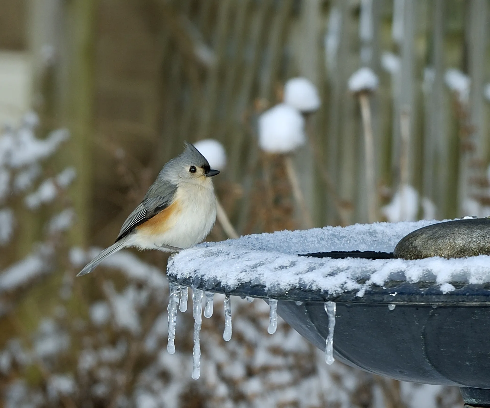 Winter Water Access