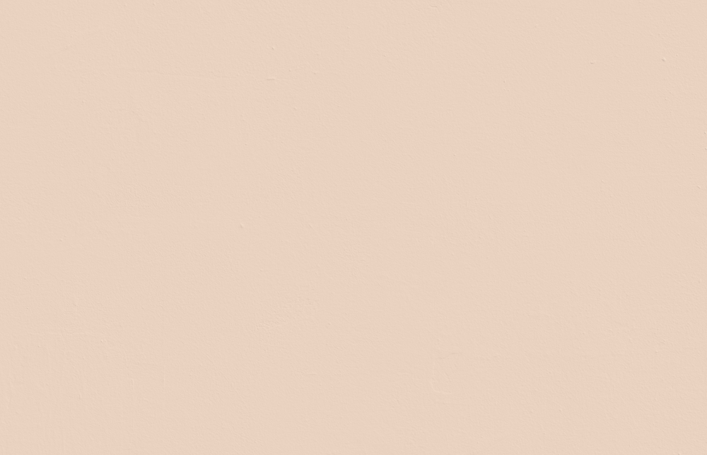Pink 02: Dusty Pink Paint - Peel & Stick Paint Sample