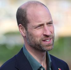 Prince William wearing a blue blazer and green shirt looking thoughtful