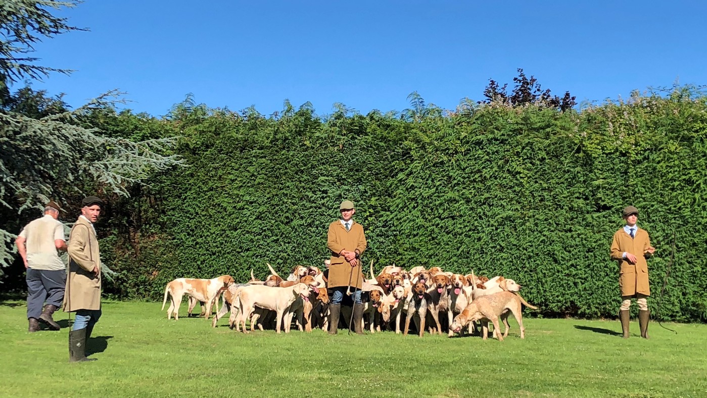 Hounds-and-Ben-Hood.jpg