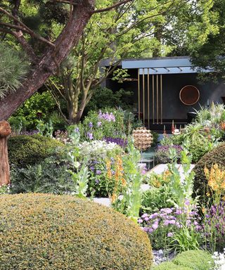 Chelsea Flower Show winners