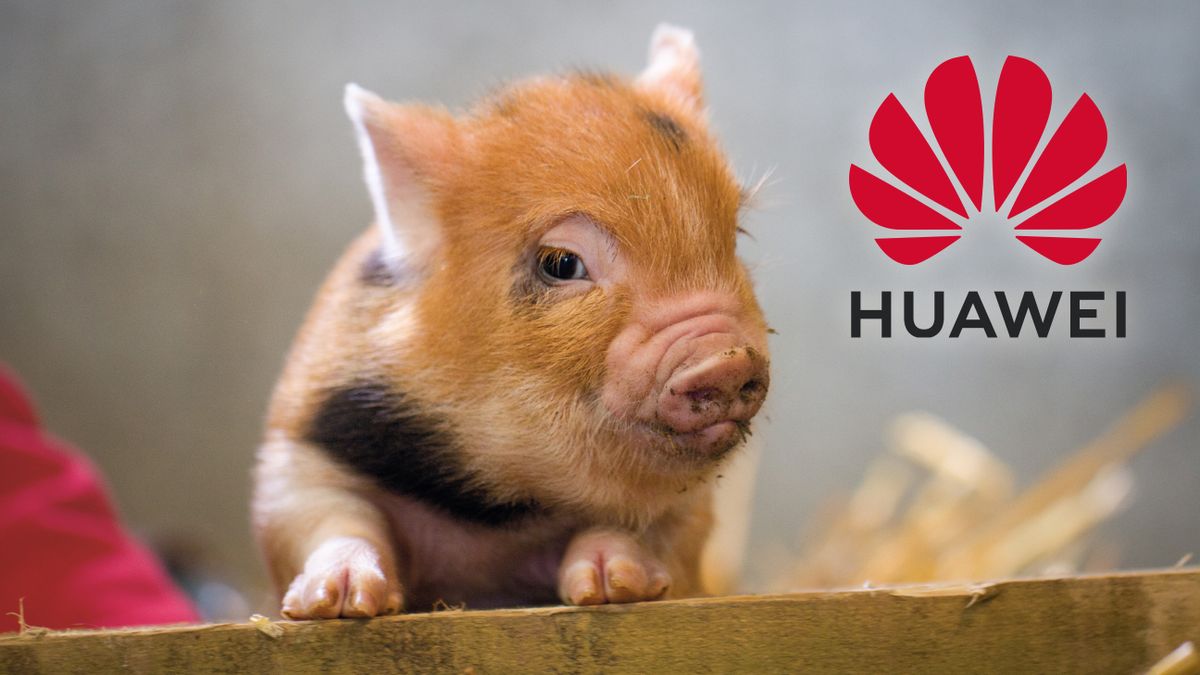 Huawei turns to pig farming and coal mining as phone sales drop 42%