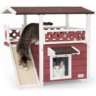 Cats using the Petsfit Outdoor Cat House