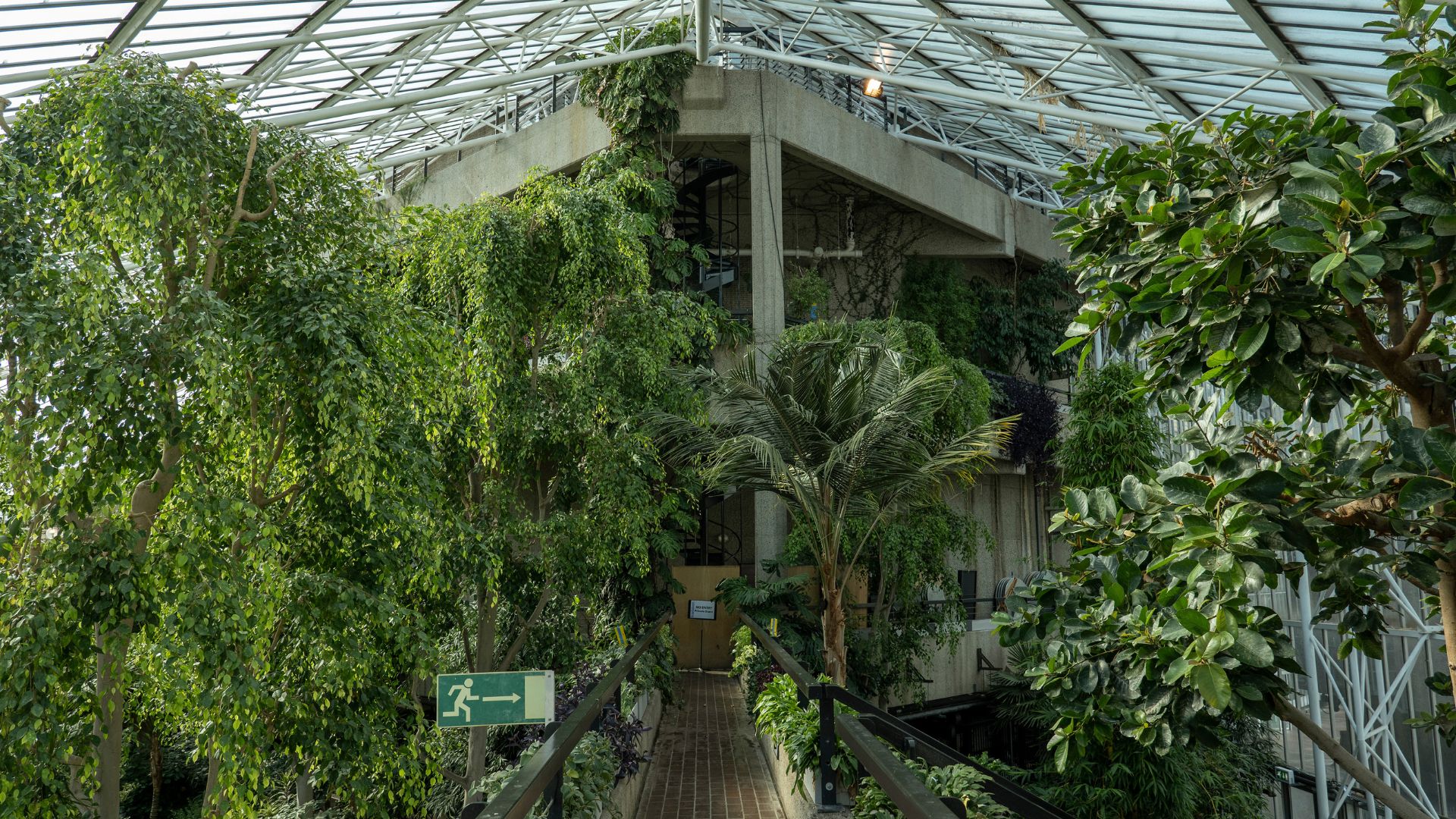 Inside the Barbican Centre conservatory in September