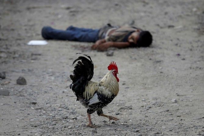 Image: Goran Tomasevic (Reuters)