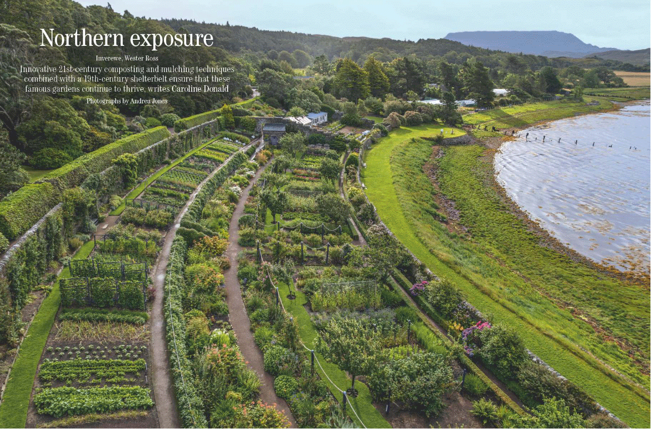 A gif of some of the spreads from the Aug 20 issue