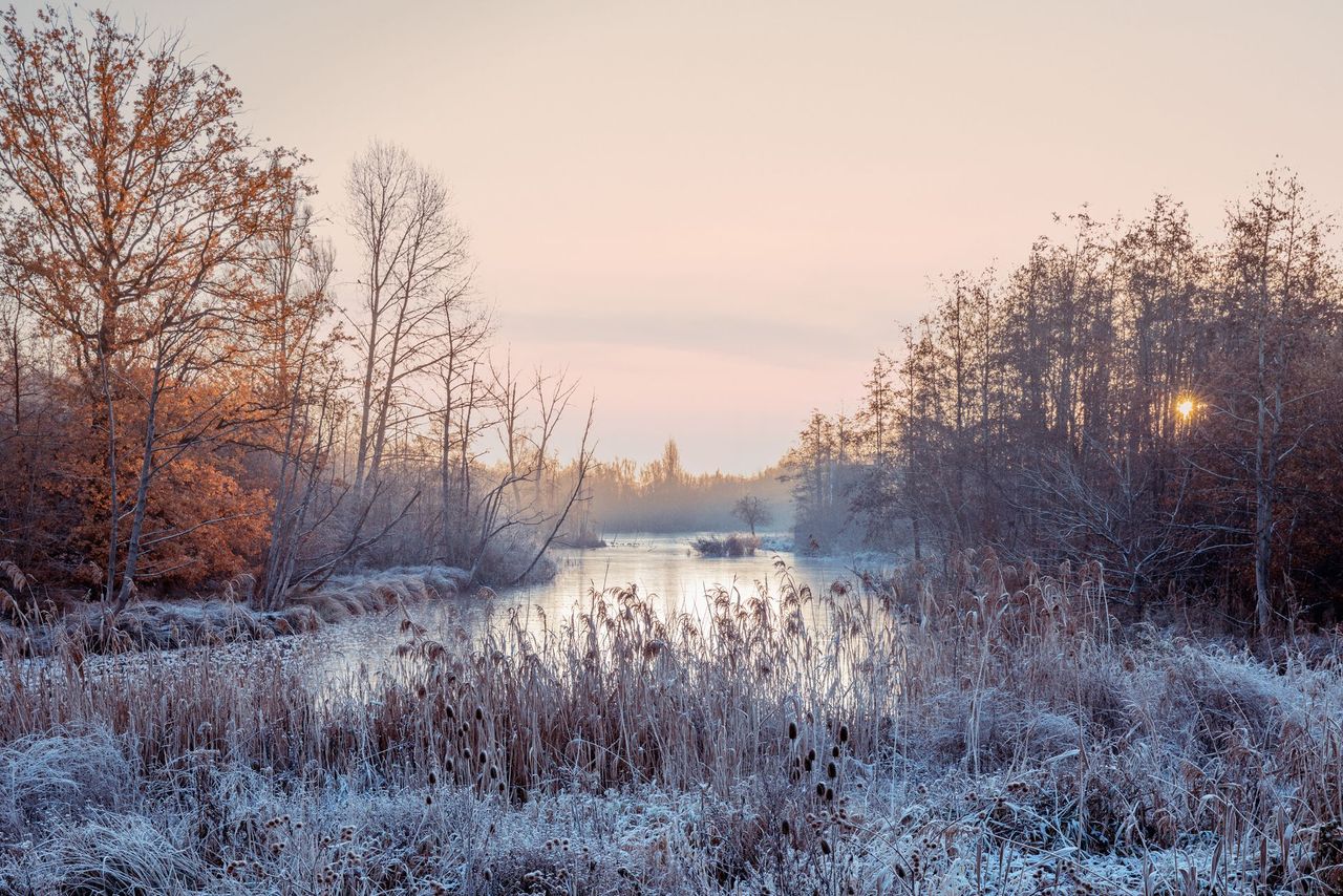 GuruShots - March 2026