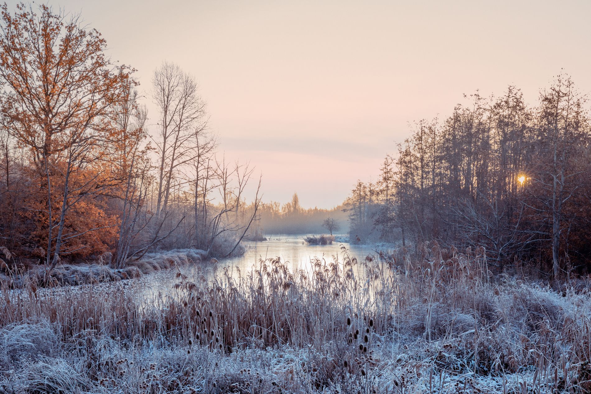 GuruShots - March 2026