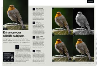 Image showing the Get the Look tutorial in issue 291 (March 2025) of Digital Camera magazine, about making wildlife subjects stand out from their backgrounds using Adobe Photoshop