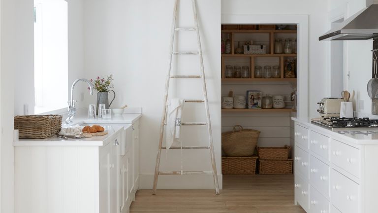 Pantry storage ideas in white kitchen