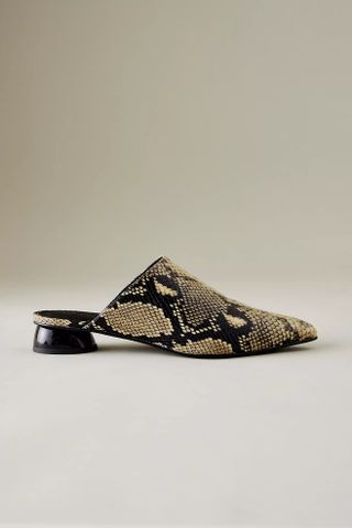 Anthropologie, By Anthropologie Pointed-Toe Mules