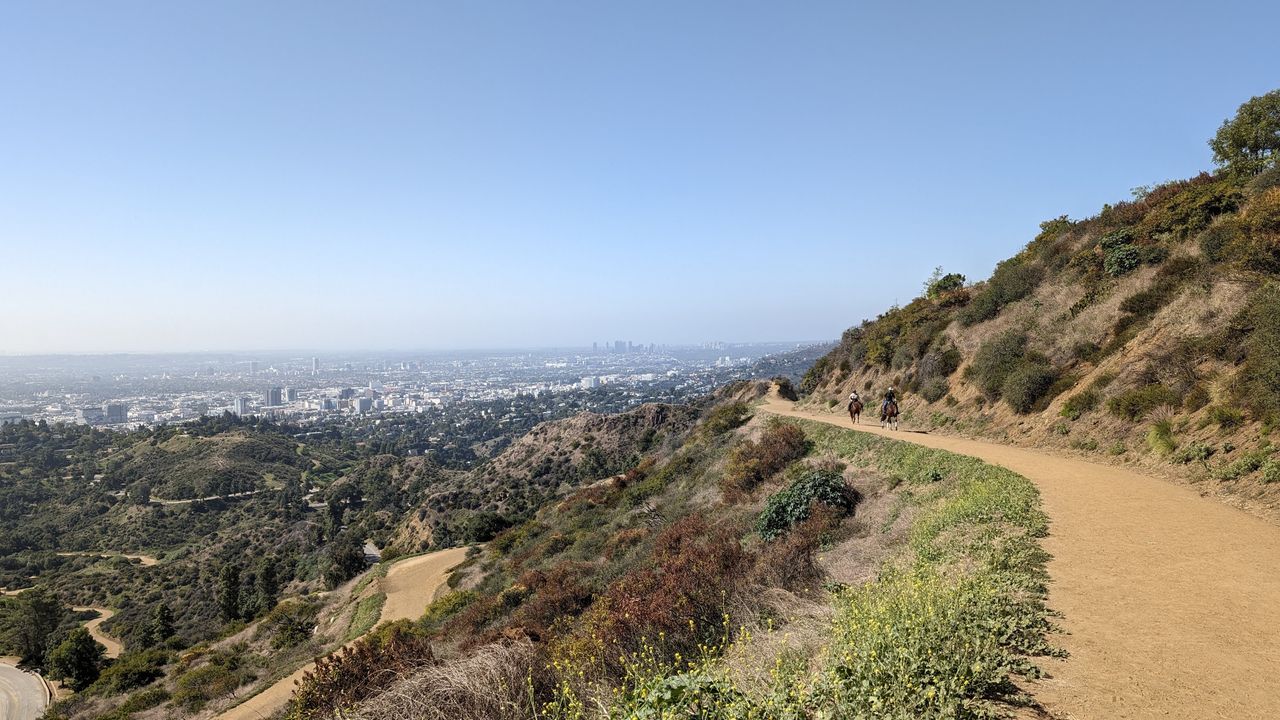 Google Pixel 8 Pro review camera sample image
