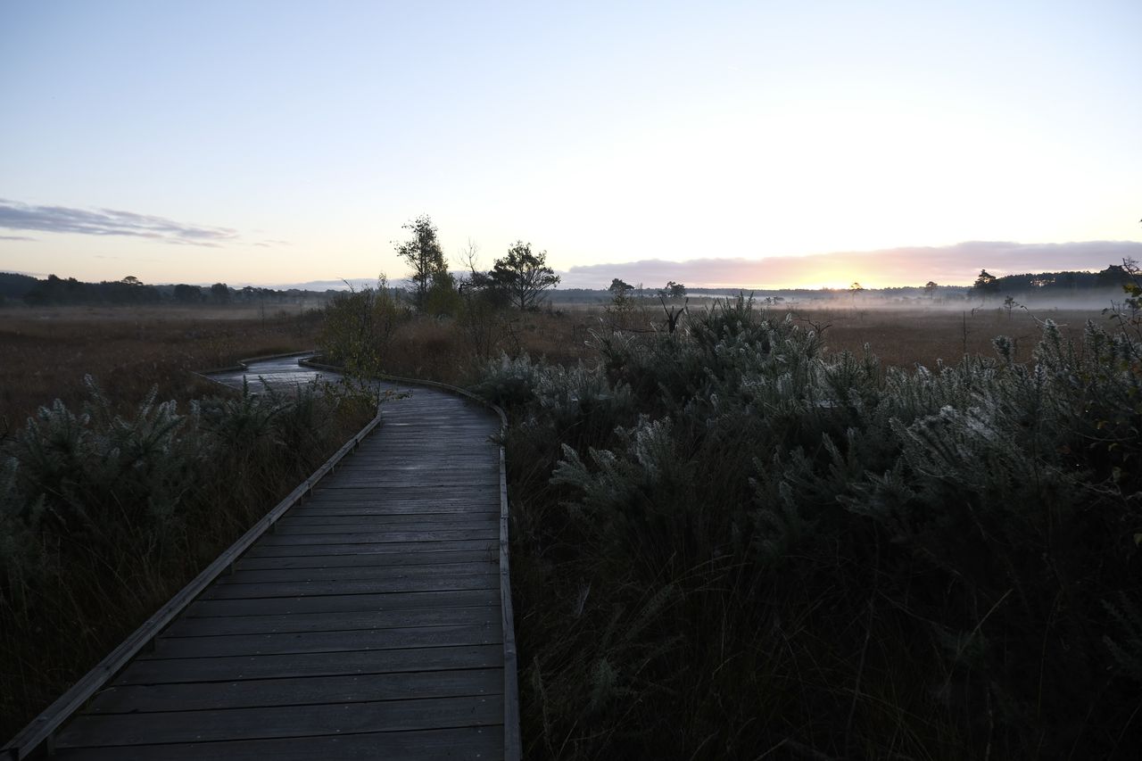 Autumn sunrise over a common in the UK, with a wooden boardwalk, taken with the Fujifilm X-M5