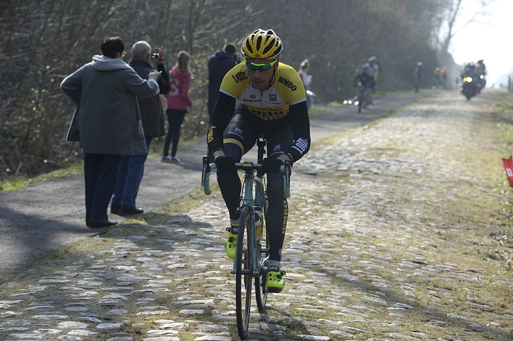 LottoNl-Jumbo in the Arenberg Forest