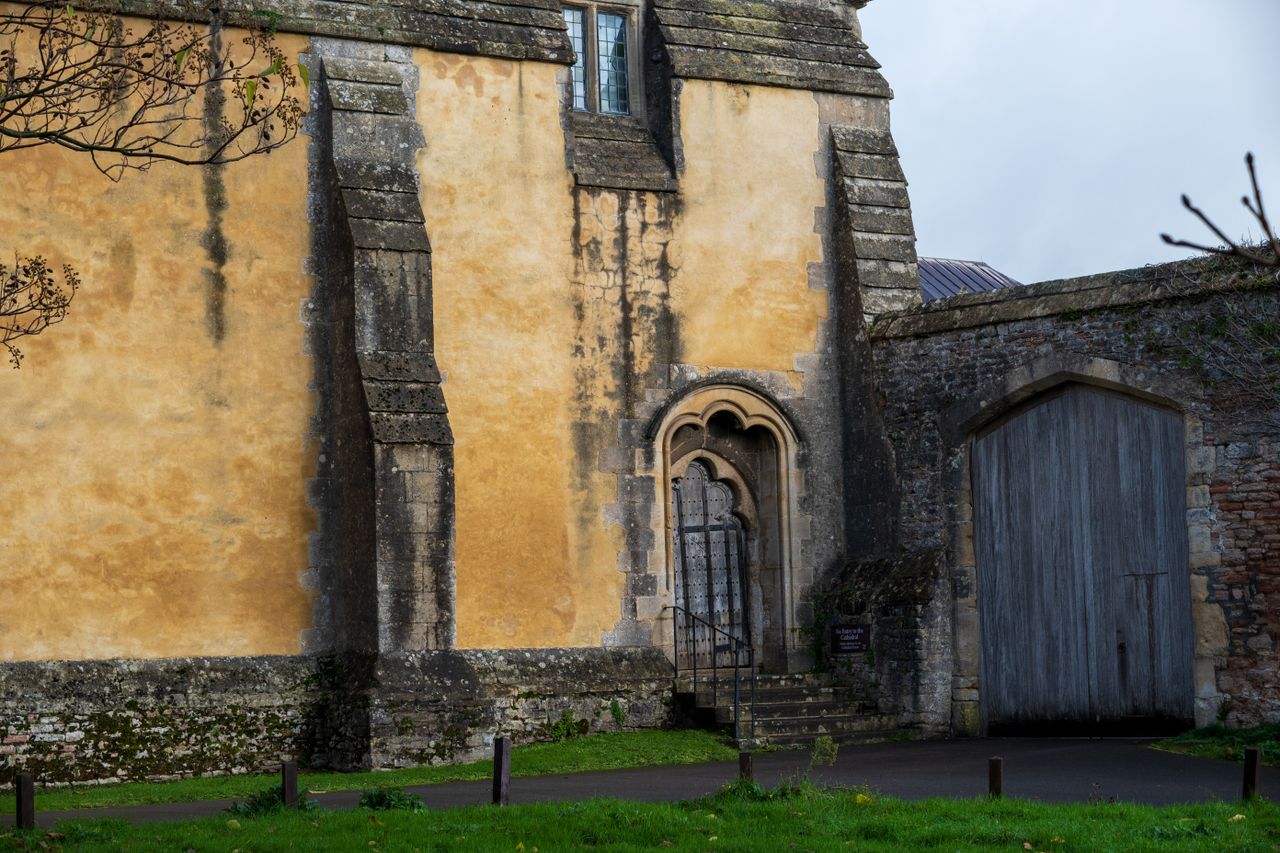 Nikon Z DX 16-50mm f/2.8 VR example shot
