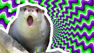 A photo of an Otter looking shocked in front of a swirling green and purple optical illusion