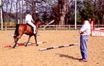 5B5007AE-73ED-452B-A1F5-B0FEB029F065.jpg