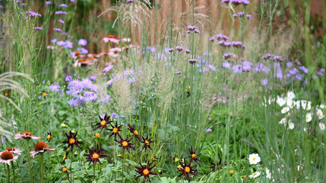 Prairie planting