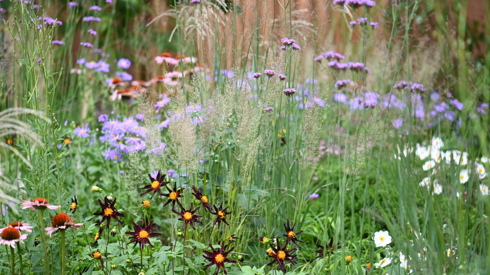 Prairie Garden Our Little Slice Of Heaven Prairie Plants And