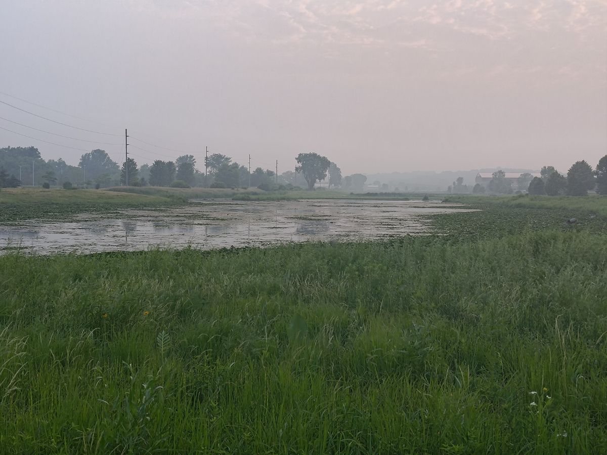 Asus Zenfone 10 camera samples