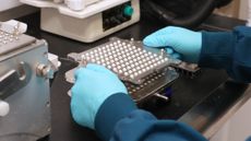 A worker at a compounding pharmacy places pills in a tray. 
