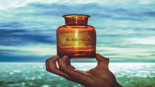 Cover Art for Blackfield - Blackfield V