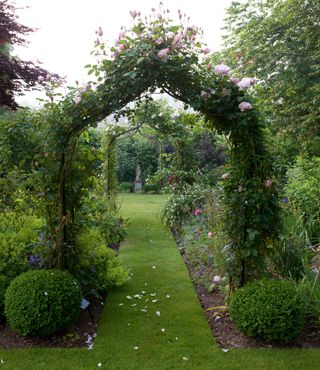 Grass path dividing borders in a garden