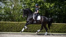 Lottie Fry and Everdale Fry Charlotte, GBR, Everdale, Van Olst Anne, Van Olst Gertjan Van Olst Stables - Den Hout 2017 &copy; Hippo Foto - Dirk Caremans 09/05/17