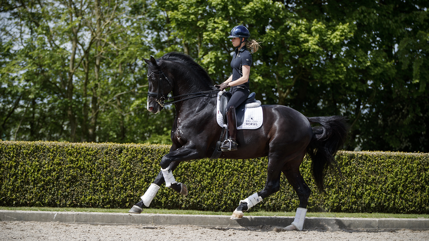 Lottie Fry and Everdale Fry Charlotte, GBR, Everdale, Van Olst Anne, Van Olst Gertjan Van Olst Stables - Den Hout 2017 &copy; Hippo Foto - Dirk Caremans 09/05/17