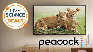 A tv in a room showing a lioness and cubs, alongside is a peacock logo and a live science deals icon