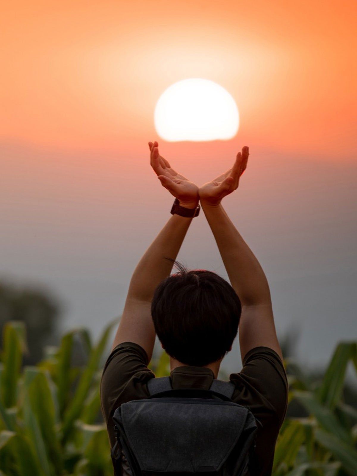 Person Holding Hands Up Under The Sun