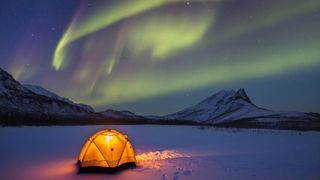 what is the Aurora Borealis: Alaskan wild camp