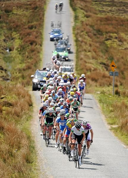 Richard Handley (Rapha Condor Sharp) leads the main peloton on the Pinch Mountain climb