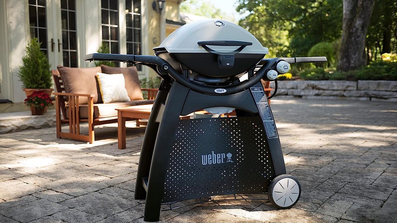 Weber Q3200 Gas Grill