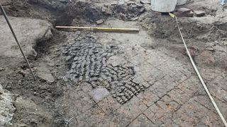 A centuries-old tile floor is being excavated by archaeologists. In a gap, there are dozens of sawed-off cattle bones.