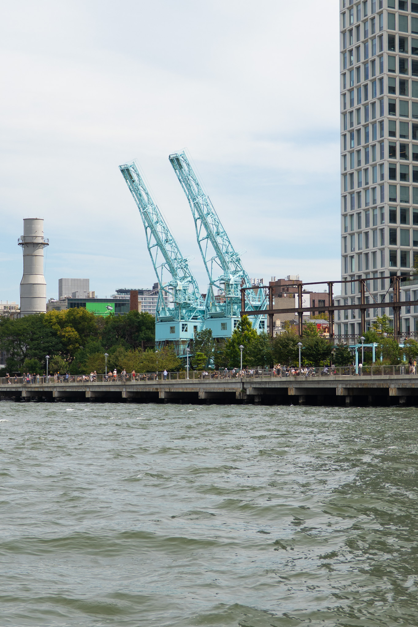 Panasonic Lumix S1R II - Cranes