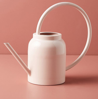 Watering can | Was £36, Now £28