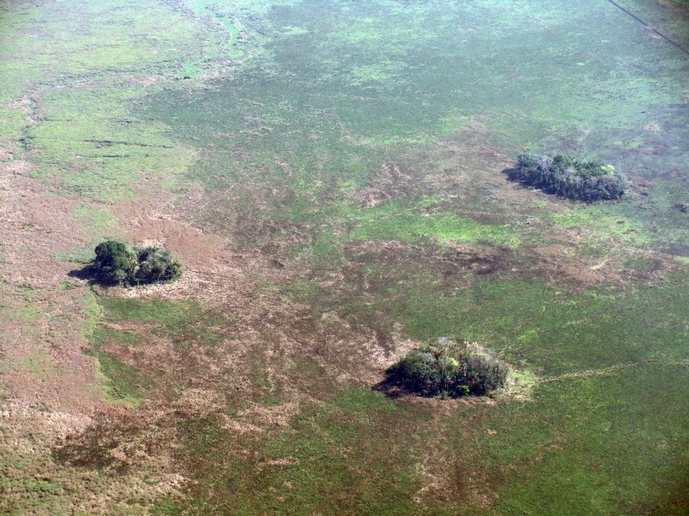 small forested islands in bolivian amazon