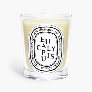 Diptyque candle in scent Eucalyptus 