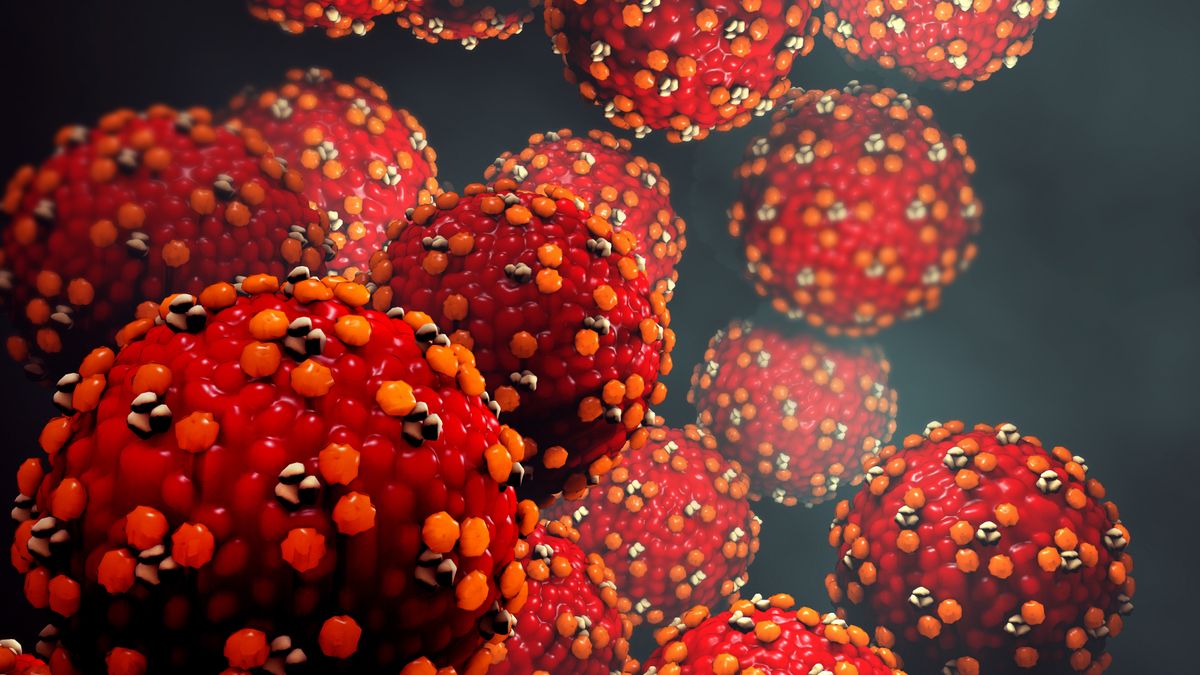 Illustration of a measles virus.